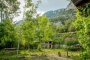More gardens by the cottage